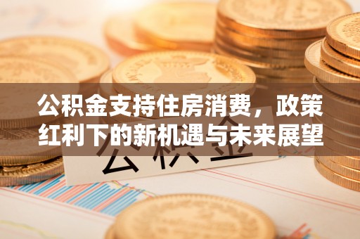 广平公积金支持住房消费，政策红利下的新机遇与未来展望