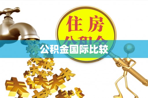 广平公积金国际比较
