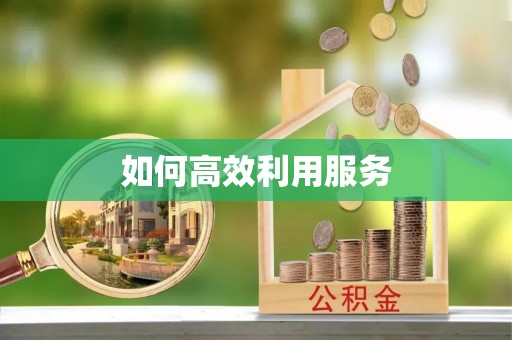 广平如何高效利用服务