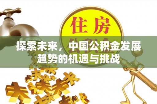 广平探索未来，中国公积金发展趋势的机遇与挑战