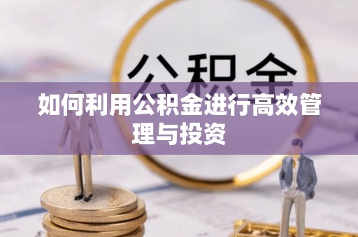 广平如何利用公积金进行高效管理与投资